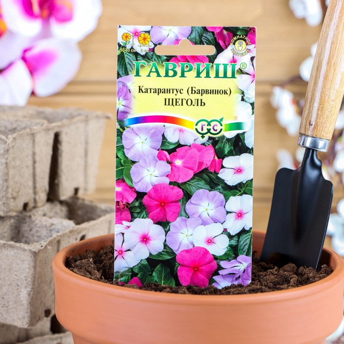 

Семена барвинок Гавриш Щеголь 3587099 5 уп.