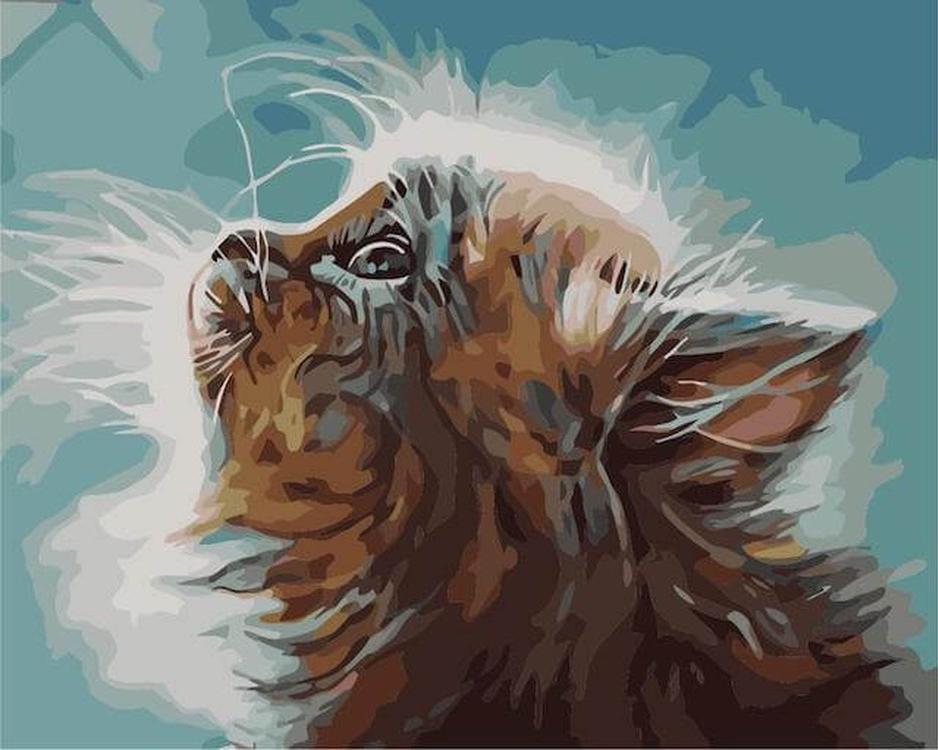 

Картина по номерам Цветной Котенок в мечтах, 40x50 см, Котенок в мечтах
