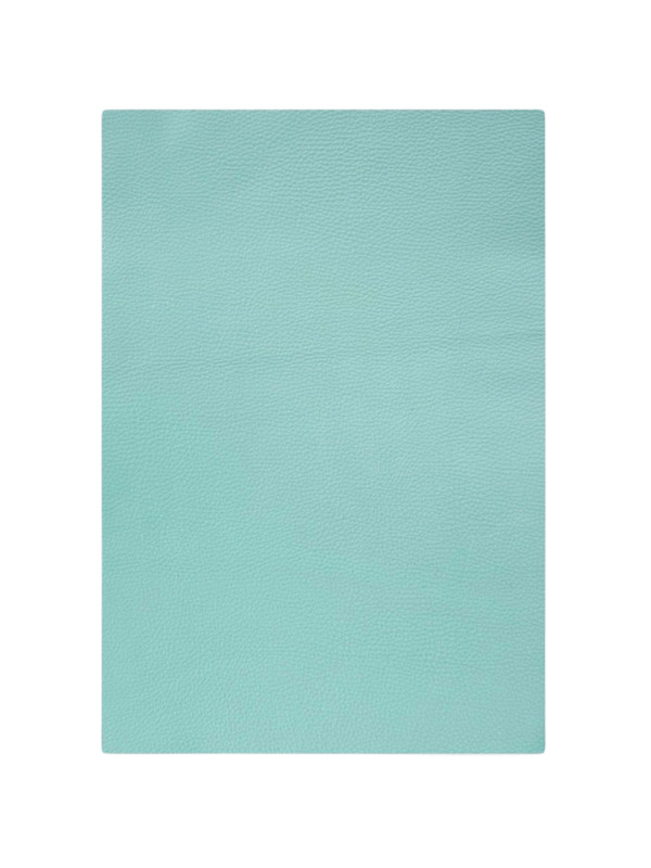 

Куски кожи 60х85 см. Richline КА1_Мятный, КА1