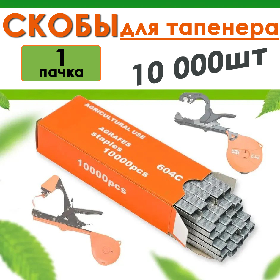 Скобы BashExpo для тапенера 10 000шт