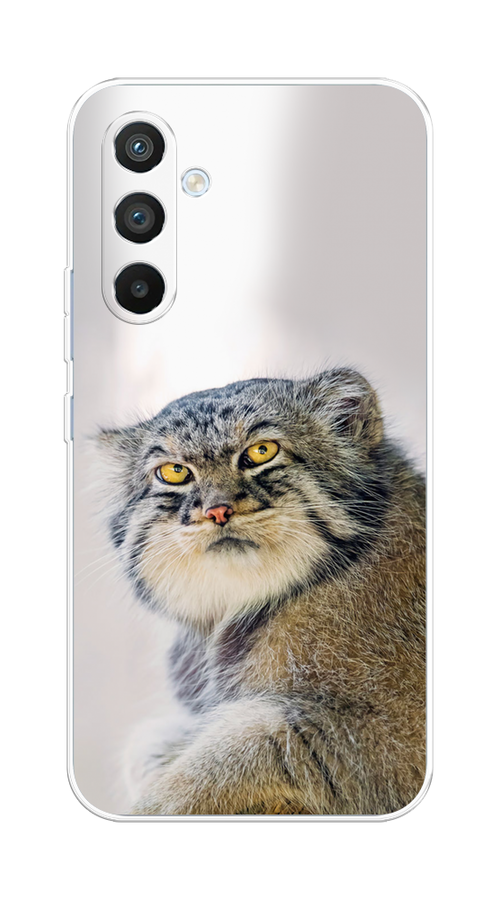 

Чехол Homey на Samsung Galaxy A54 5G "Кот манул 1"", Серый;белый;желтый, 2107750-1