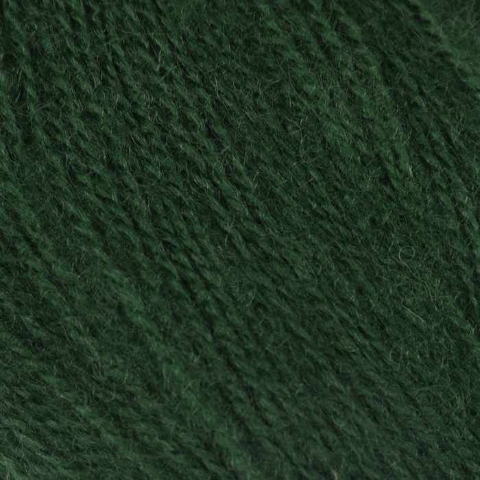 

Пряжа Alize Angora real 40 60% акрил, 40% шерсть 480м/100гр 563 тём.зелён, Зеленый