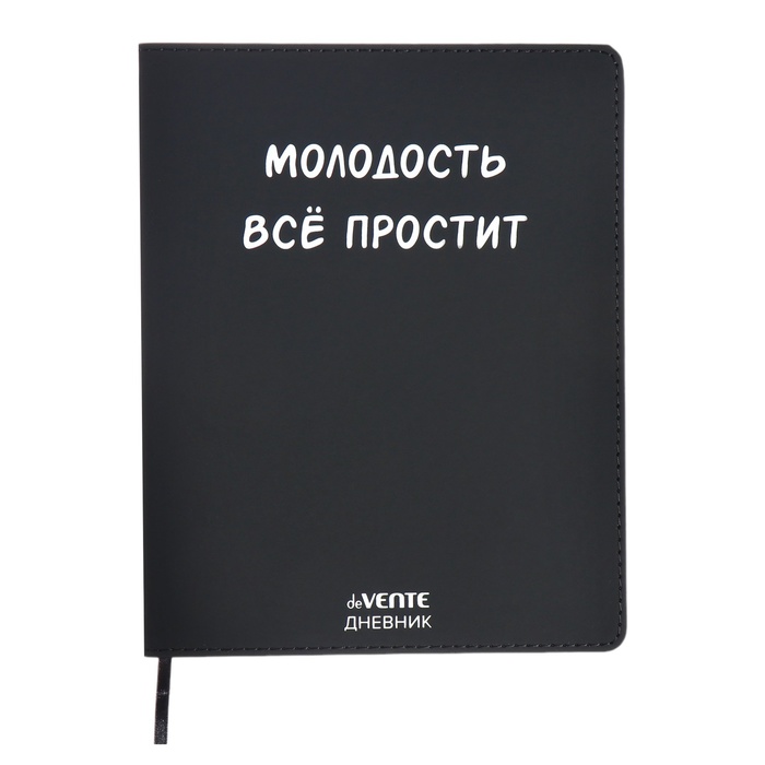 

Дневник школьный deVENTE Молодость всё простит 10318584