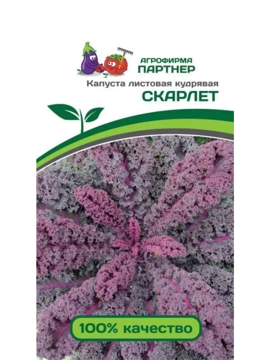 

Семена Капусты, Агрофирма Партнер, art0015-psams4103, 1шт