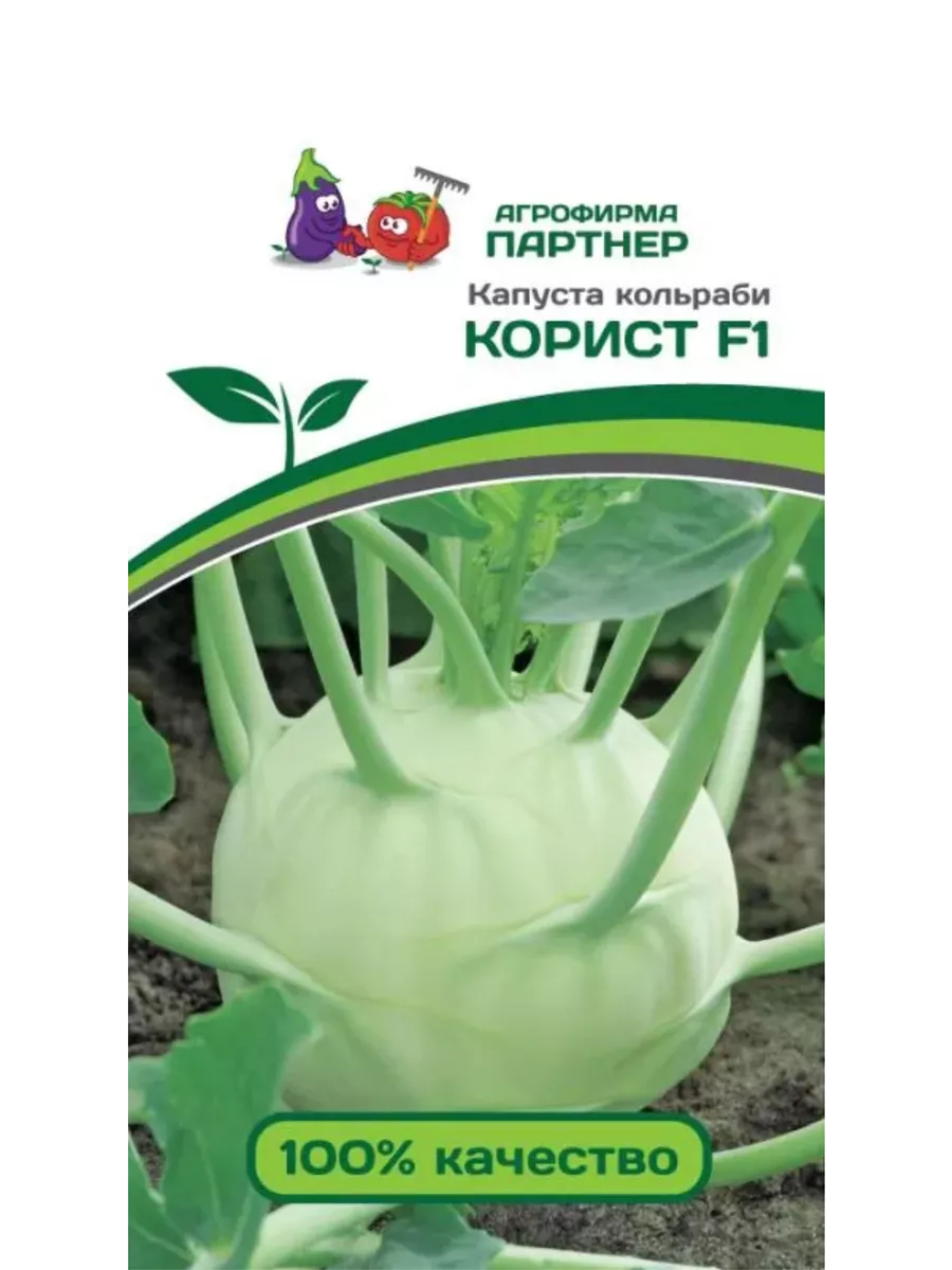

Семена Баклажан Андрюша, Агрофирма Партнер, art0015-psams4123, 1шт