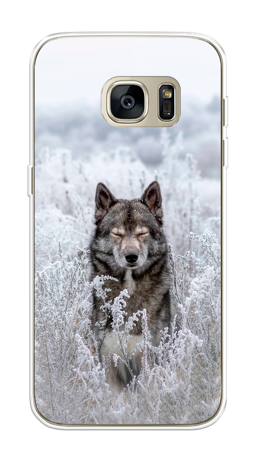 

Чехол Awog на Samsung Galaxy S7 edge "Волк в поле", Белый;черный, 24650-1