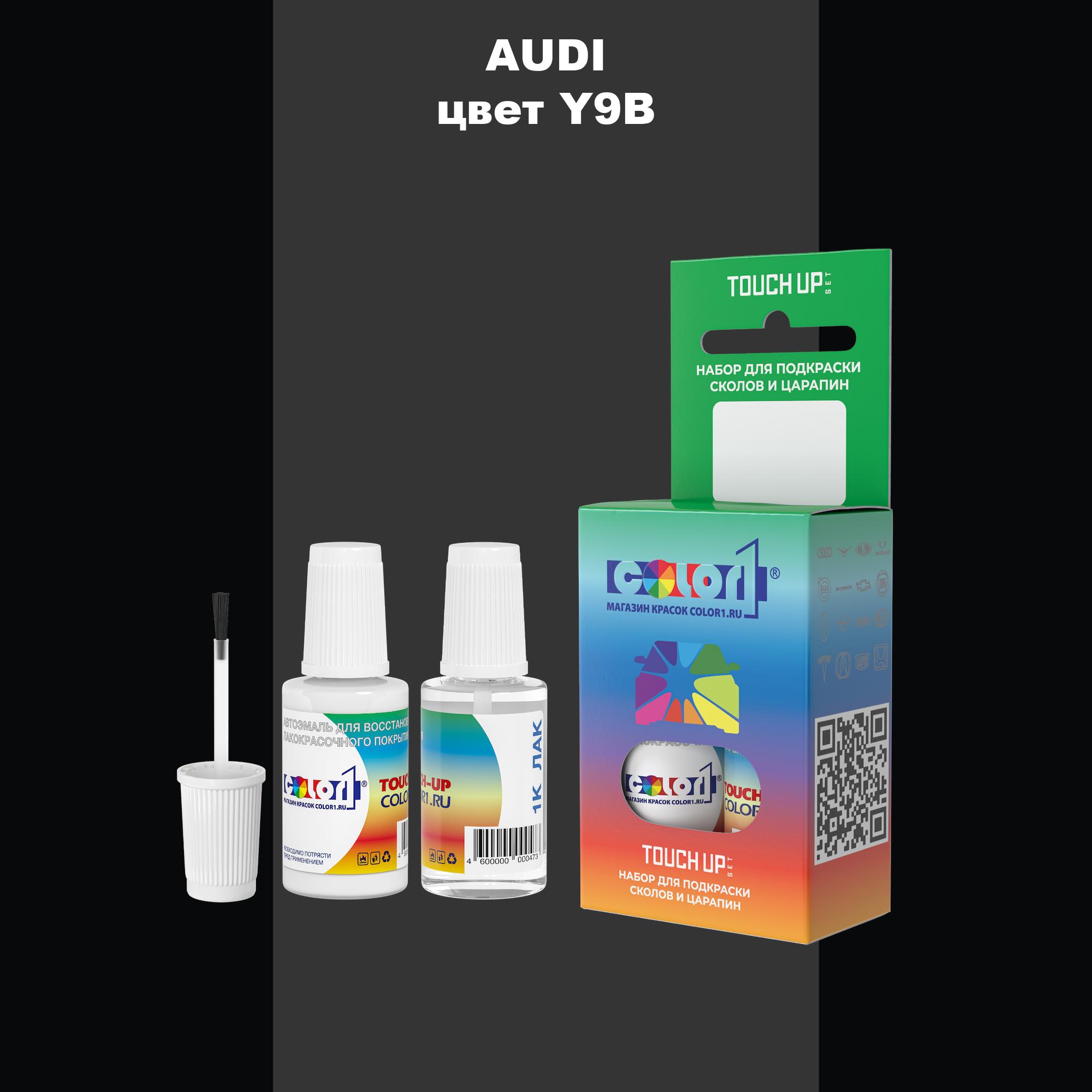 

Краска для сколов во флаконе с кисточкой AUDI, цвет Y9B - OEM MULTI TONE, Прозрачный
