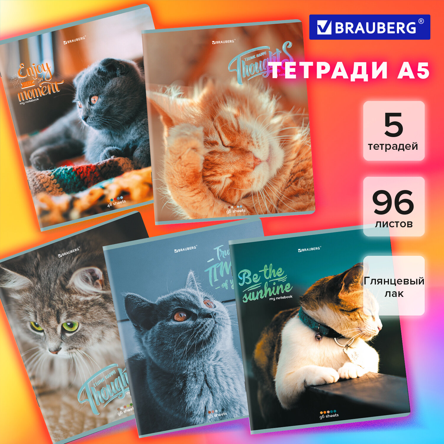 

Тетради Brauberg Котики, 404693, скоба, клетка, матовая ламинация, А5, 96 л, 5 шт