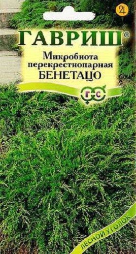 

Семена деревьев и кустарников Гавриш Микробиота перекрестнопарная Бенетацо 0,05 г
