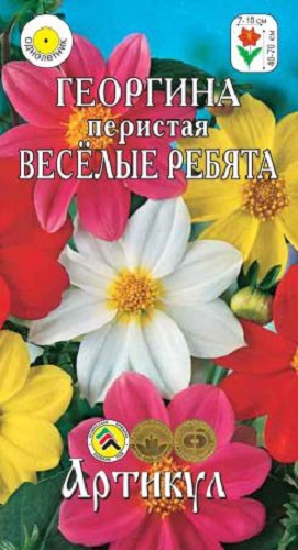 фото Семена цветов артикул георгина перистая веселые ребята смесь однолетняя 0,3 г