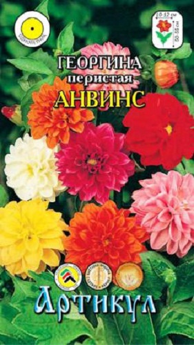 

Семена георгин Артикул Анвинс 1 уп.