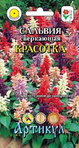 фото Семена цветов артикул сальвия сверкающая красотка смесь 10 шт.