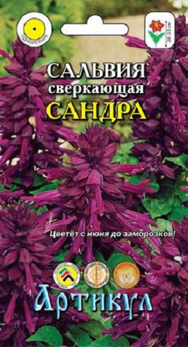 фото Семена цветов артикул сальвия сверкающая сандра бургунди однолетняя 10 шт.