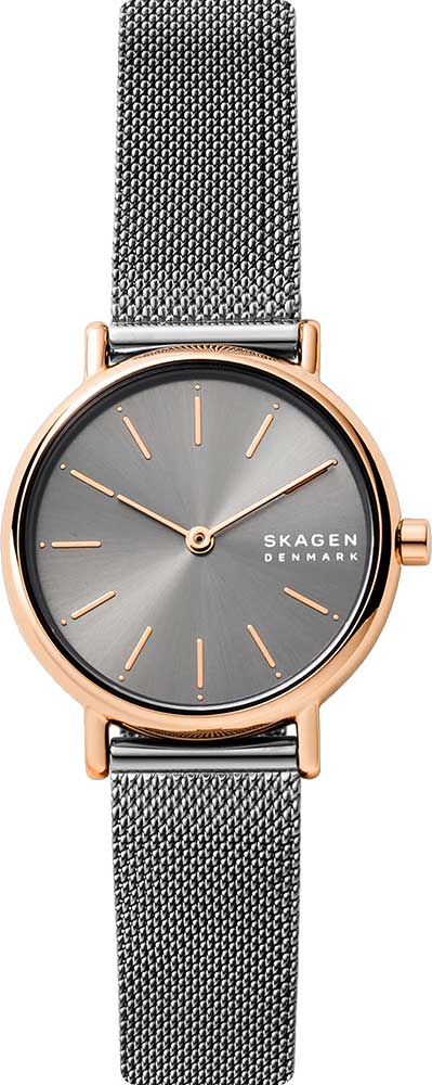 фото Наручные часы женские skagen skw2996 серые