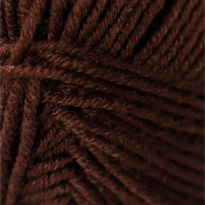 

Пряжа Детская забава 20% микрофибра, 80% акрил 140м/50гр (063 шоколад) (5 шт), Коричневый