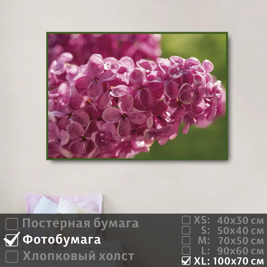 

Постер на фотобумаге ПолиЦентр Ветка сирени с каплями 100х70 см, ВеткаСирениСКаплями1