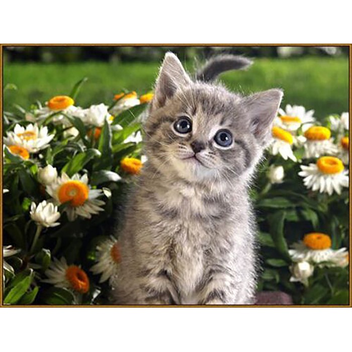 

Алмазная мозаика «Послушный котёнок» 27 × 20 см, 32 цв. + наклейка