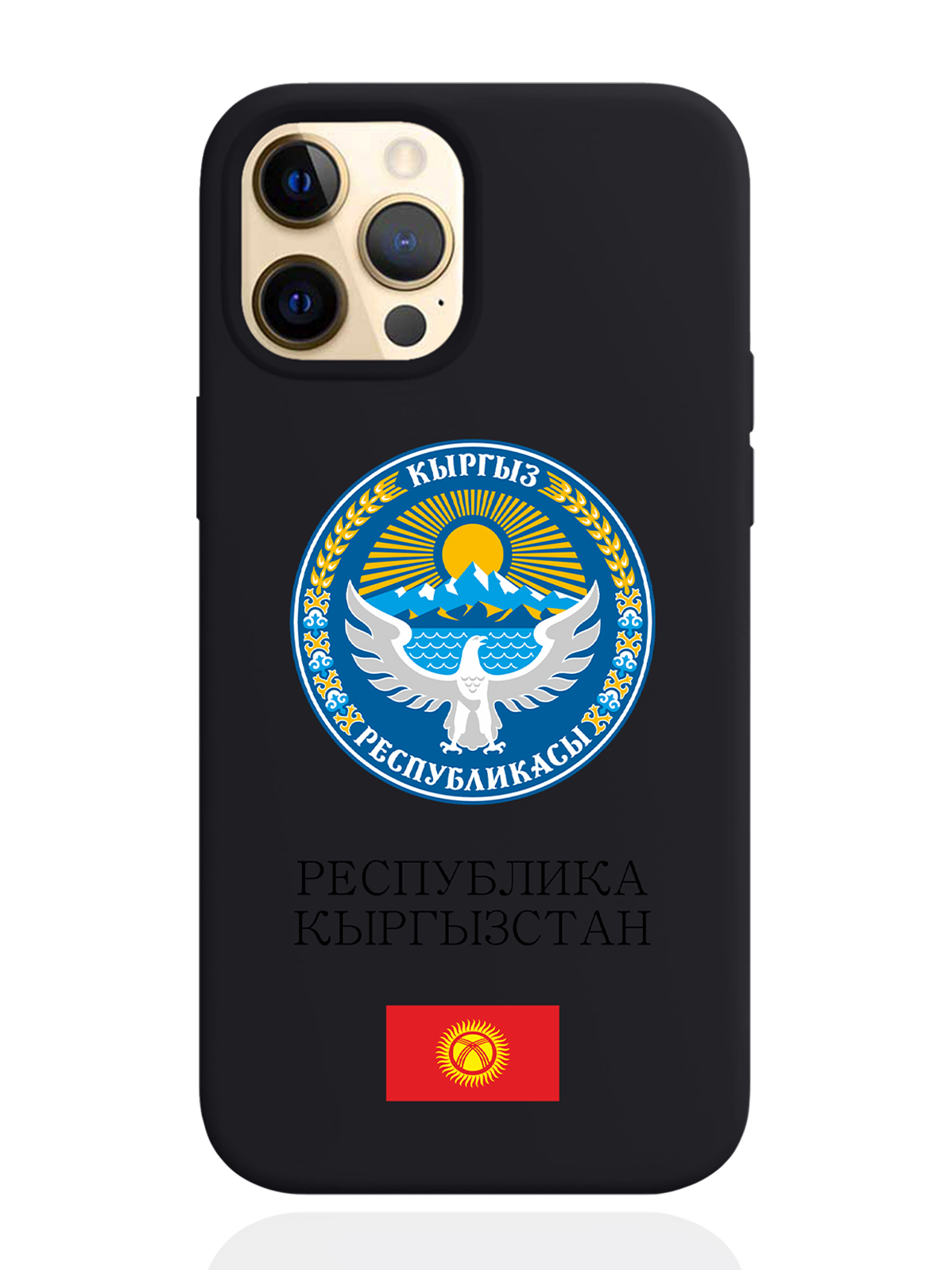 

Чехол SignumCase для iPhone 12/12 Pro Герб Кыргызстана/Киргизиичерный, Разноцветный