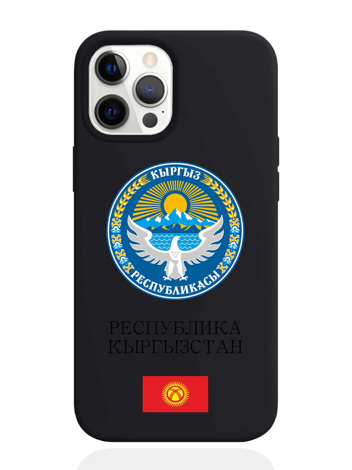

Чехол SignumCase для iPhone 12 Pro Max Герб Кыргызстана/Киргизиичерный, Разноцветный