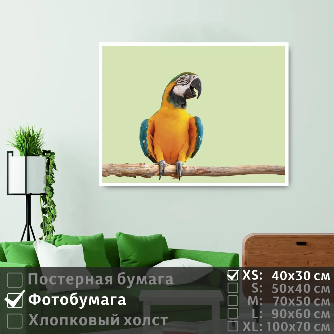 

Постер на фотобумаге ПолиЦентр Яркий попугай ара на ветке 40х30 см, ЯркийПопугайАраНаВетке