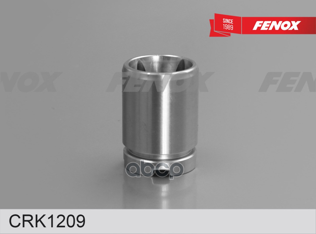 

Ремкомплект Тормозного Суппорта FENOX арт. CRK1209