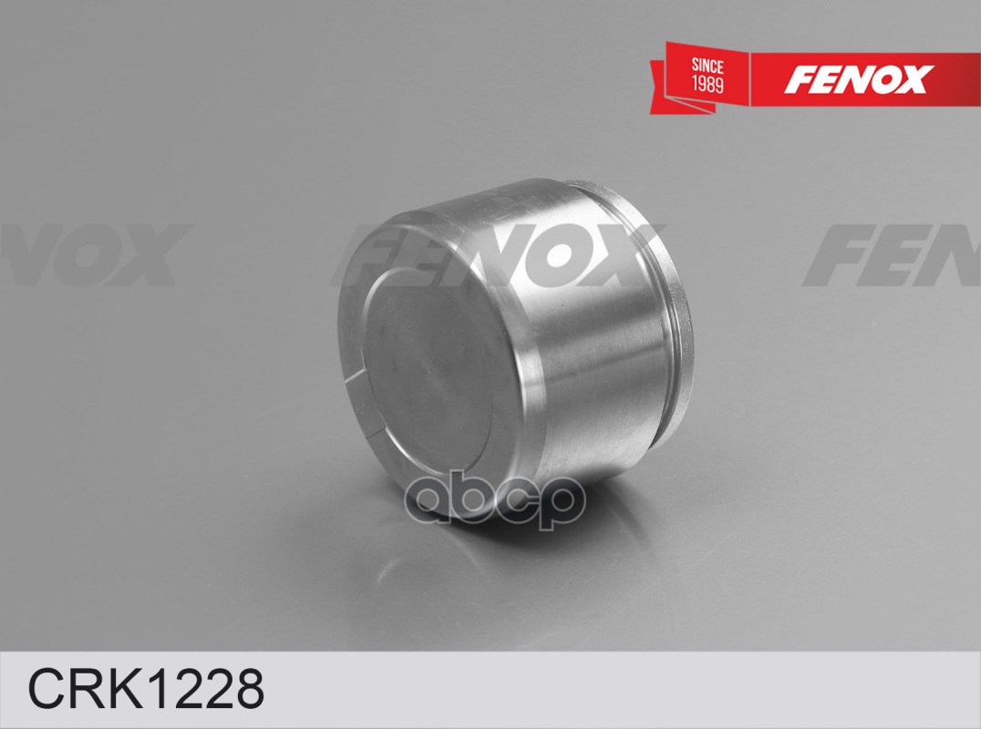 

Ремкомплект Тормозного Суппорта FENOX арт. CRK1228