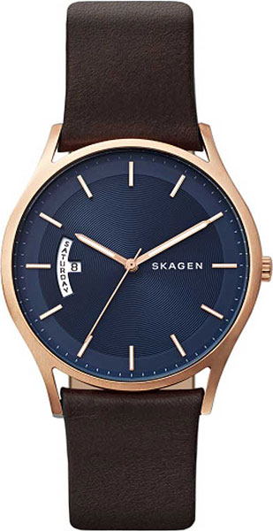 фото Наручные часы кварцевые мужские skagen skw6395