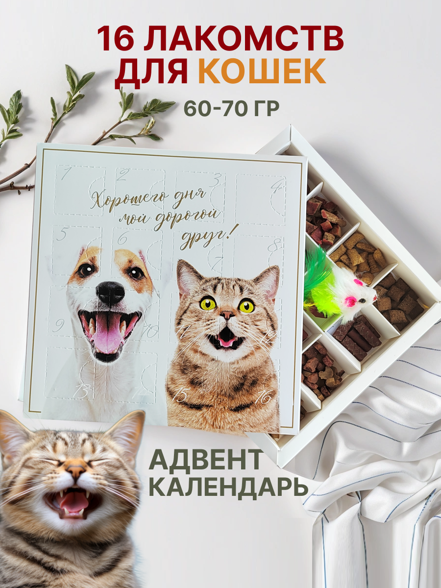 Лакомства для кошек spb.zooshop, адвент календарь, лосось, 70 г