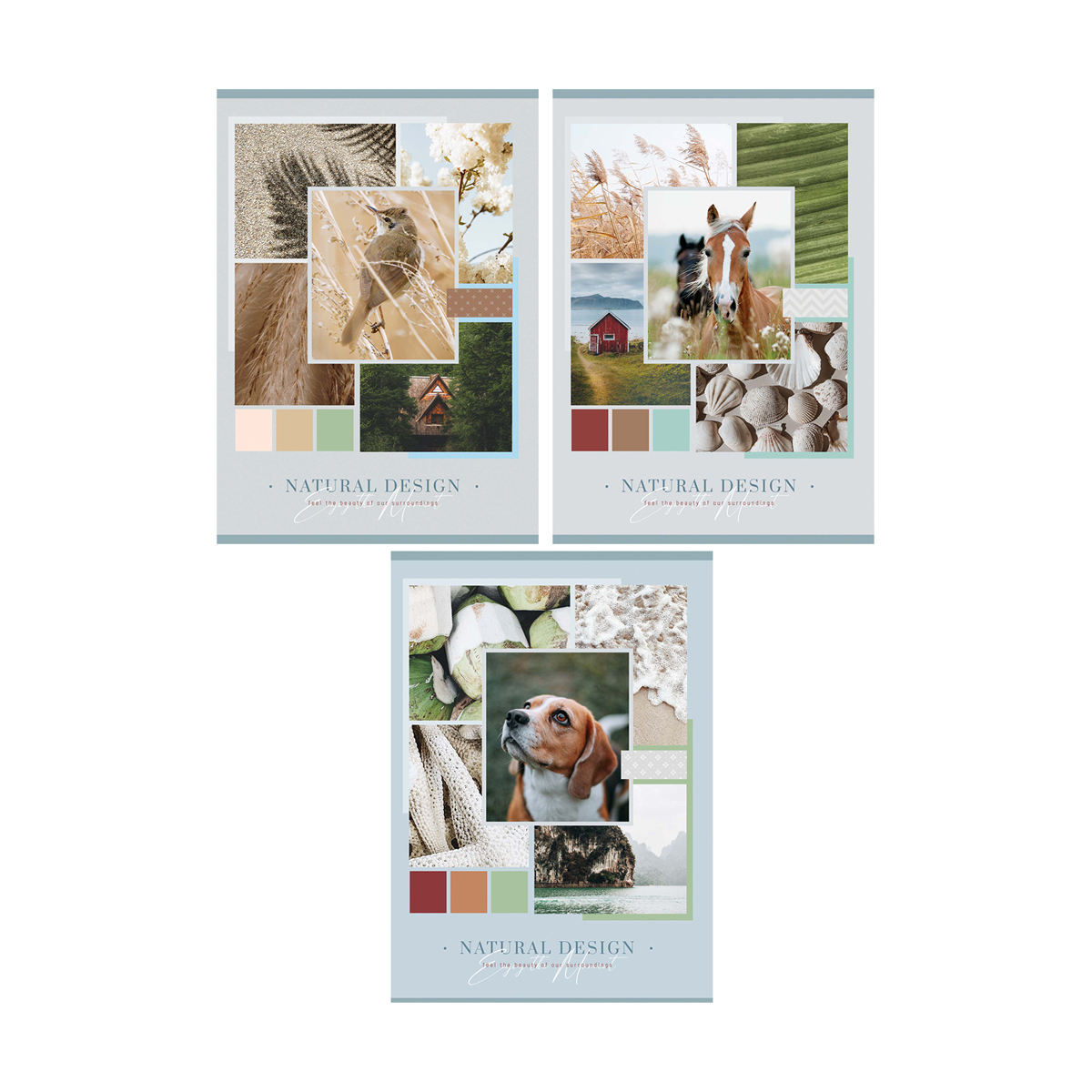

Тетрадь 80л., А4, линия ArtSpace "Путешествия. Natural design", (6шт.)