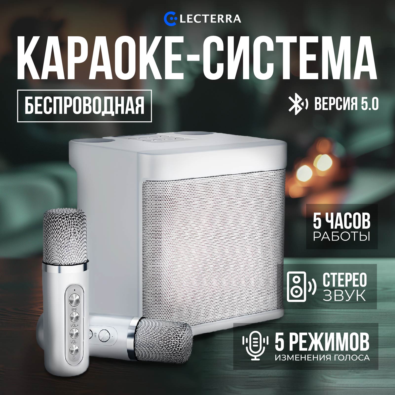 

Караоке-система Electerra