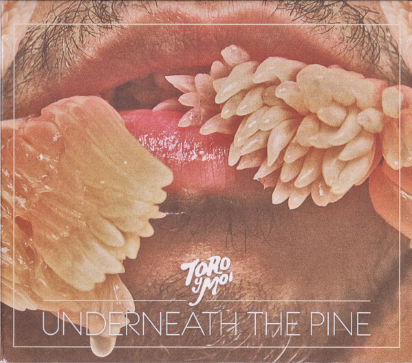 

TORO Y MOI : Underneath The Pine