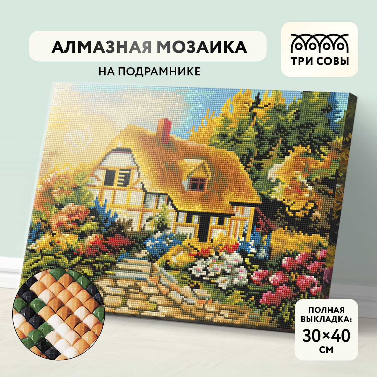 Алмазная мозаика ТРИ СОВЫ 