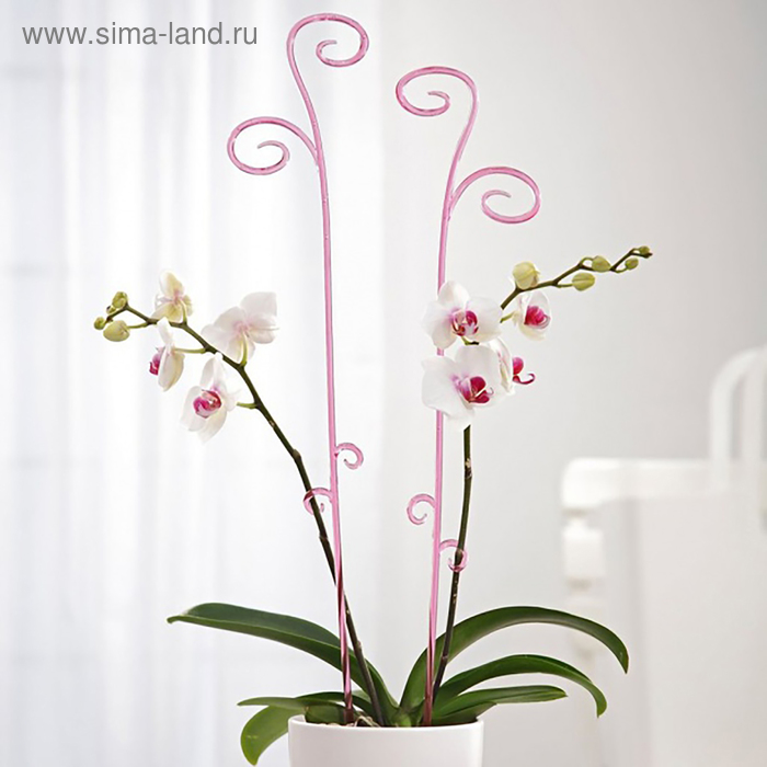 Держатель для орхидеи, 60 см, цвет МИКС(10 шт.)