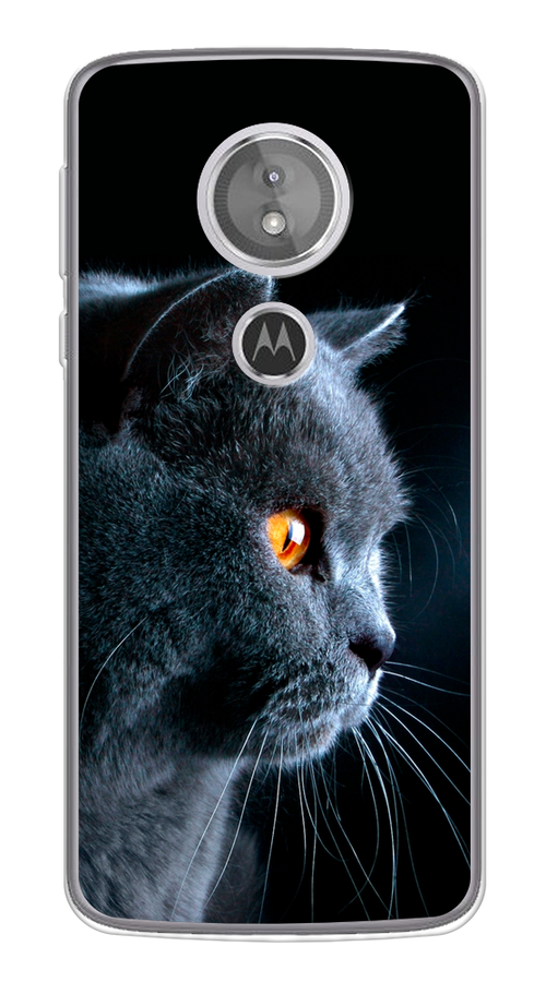 

Чехол Awog на Motorola Moto G6 Play / Моторола Мото G6 Плэй "Благородный кот британец", Разноцветный, 240950-2