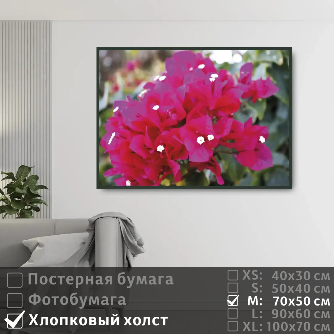

Постер на холсте ПолиЦентр Ветка нежной бугенвиллии 70х50 см, ВеткаНежнойБугенвиллии