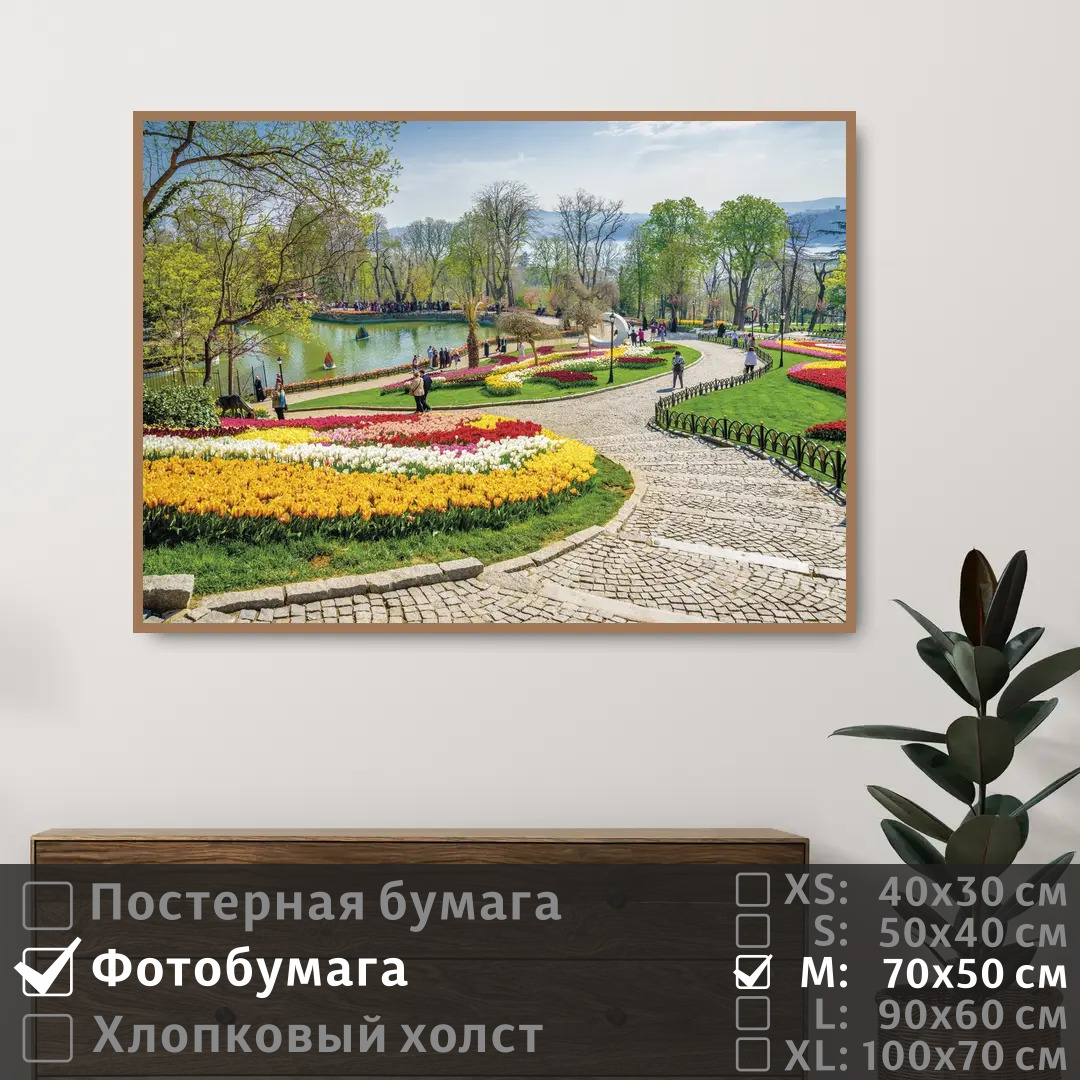 

Постер на фотобумаге ПолиЦентр Весенние тюльпаны в стамбуле 70х50 см, ВесенниеТюльпаныВСтамбуле
