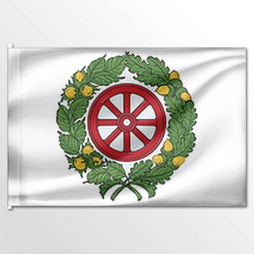 

Флаг ЦТП ФЕНИКС Курбатовского сельского поселения 135x90 см, 7385-135x90