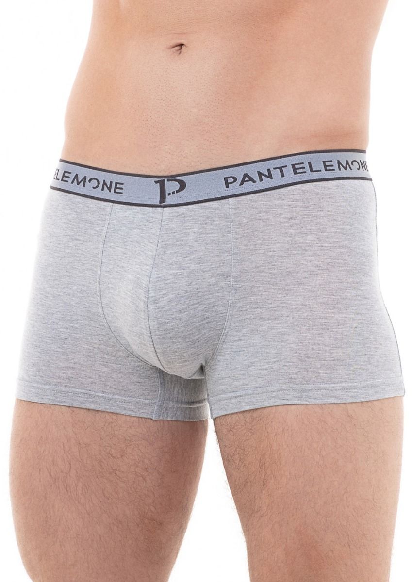 

Трусы мужские Pantelemone PMH-343 серые 56 RU, Серый, PMH-343