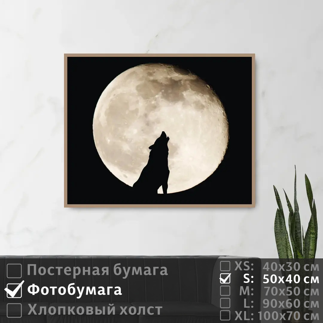 

Постер на фотобумаге ПолиЦентр Дикий волк и полная луна 50х40 см, ДикийВолкИПолнаяЛуна