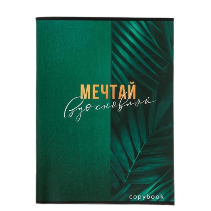 

Колледж-тетрадь А4, 96 л на скрепке, Мечтай вдохновляй, обл мел карт 215 гр., внутренний