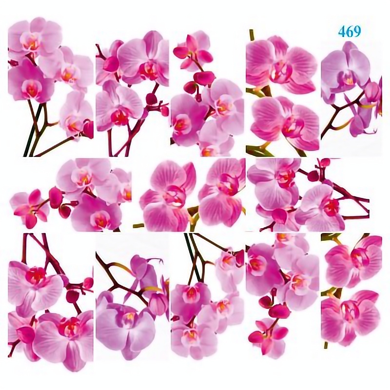 Купить Слайдер-дизайн Dona Jerdona Орхидеи на белом фоне 469