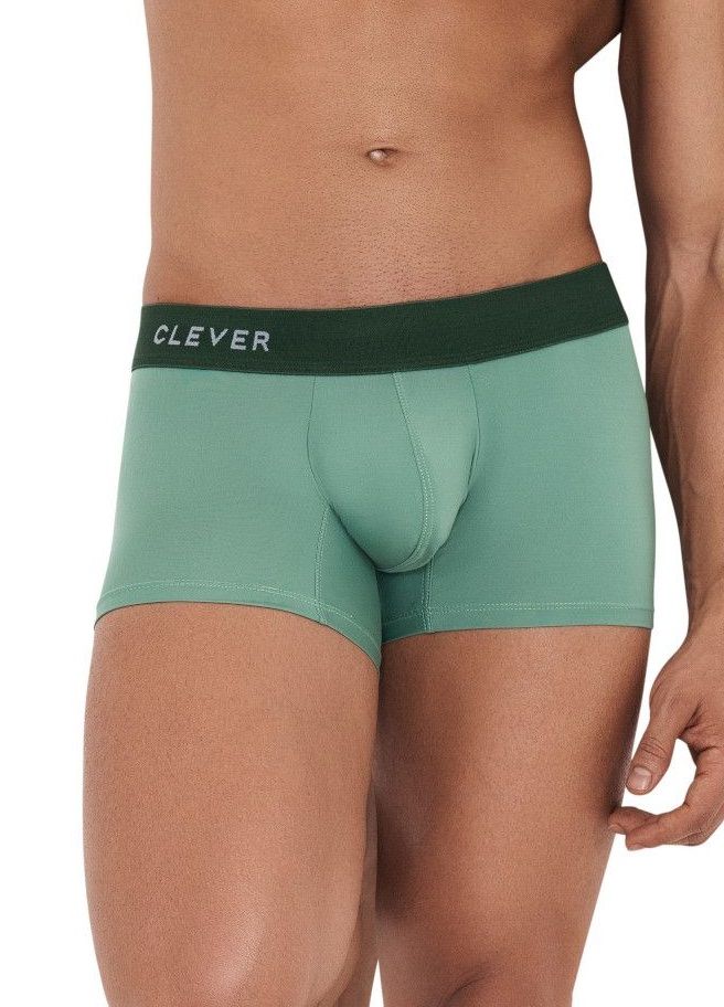 

Трусы мужские Clever Masculine Underwear 123310 зеленые M 1 штука, Зеленый, 123310