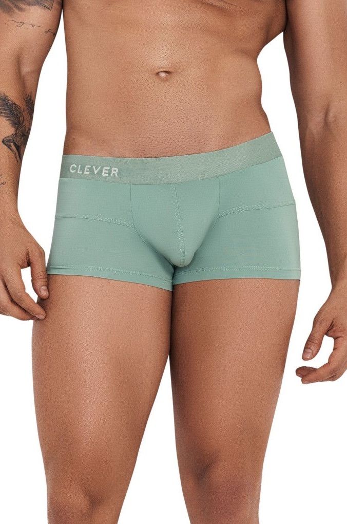

Трусы мужские Clever Masculine Underwear 126110 зеленые L 1 штука, Зеленый, 126110