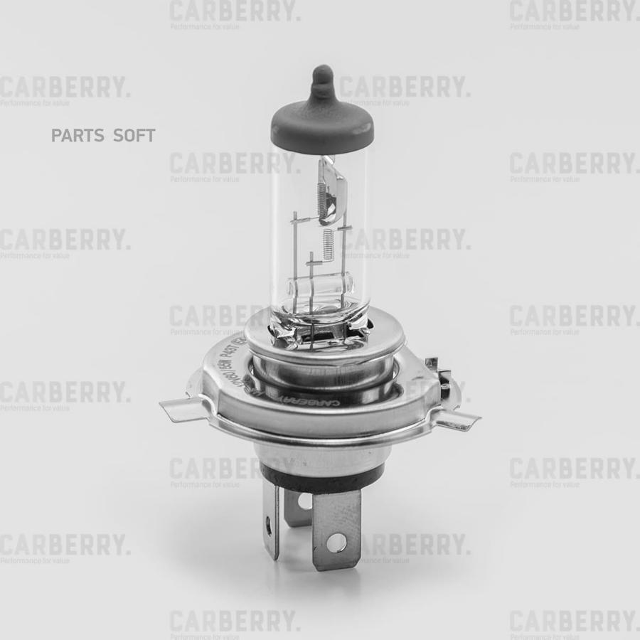 

Лампа H4 12V (60/55W) Day&Night CARBERRY 31CA7