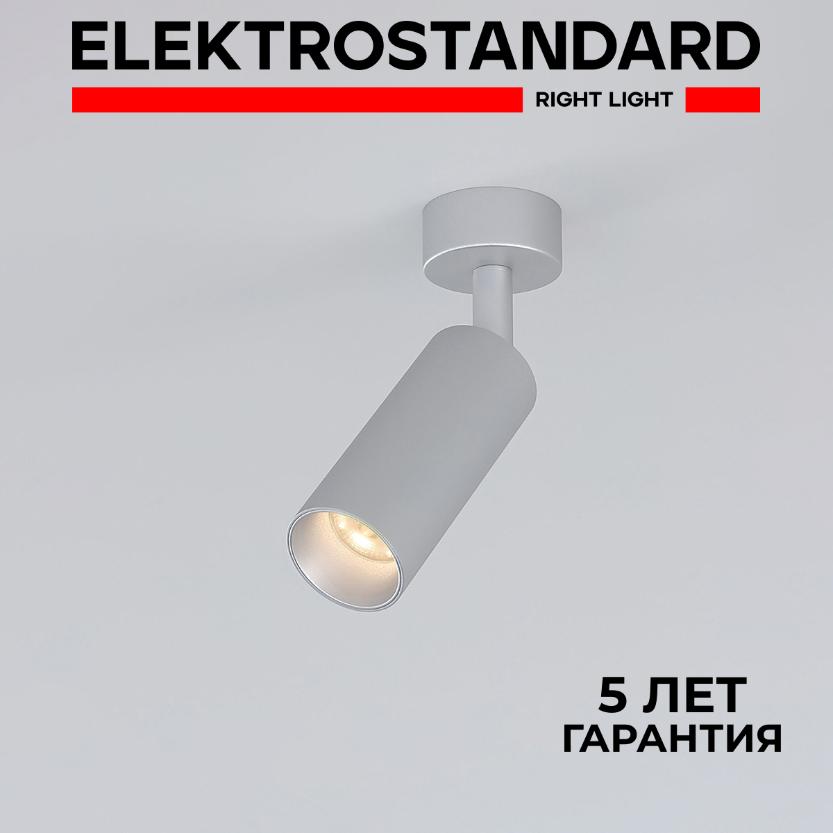 

Накладной светодиодный светильник Elektrostandard Diffe 85639/01 серебряный 8W 4200 К, Diffe 190923