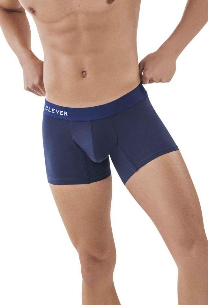 

Трусы мужские Clever Masculine Underwear 088208 синие S 1 штука, Синий, 088208