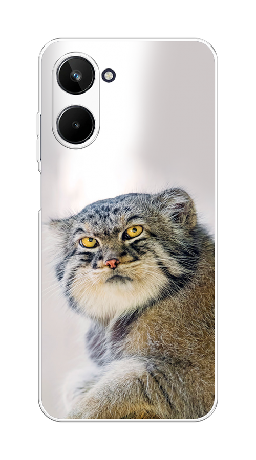 

Чехол Homey на Realme 10 4G "Кот манул 1", Серый;белый;желтый, 2512150-1