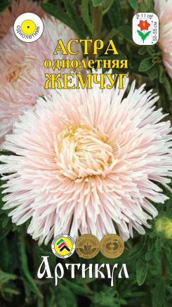 Семена астра Артикул Жемчуг 1 уп 339₽