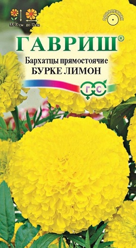 

Семена бархатцы Гавриш Бурке лимон 191222997 1 уп.