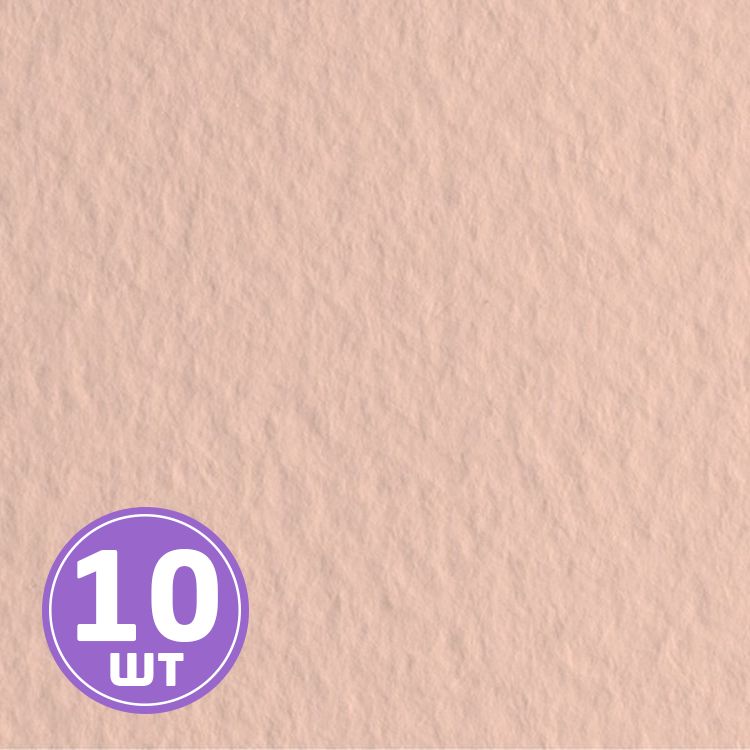 

Бумага для пастели Fabriano Tiziano 50х65 см 10 л цвет 52551025 rosa/розовый